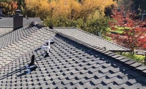 Field-of-the-Roof-in-Tigard